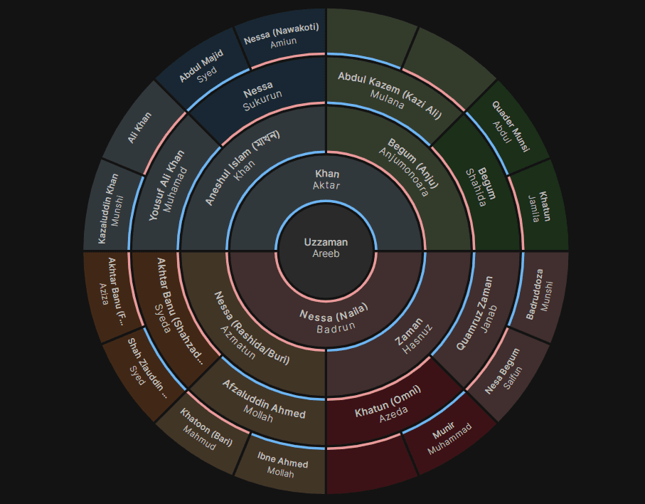 Fan chart of the family tree, with generations radiating outward from the centre